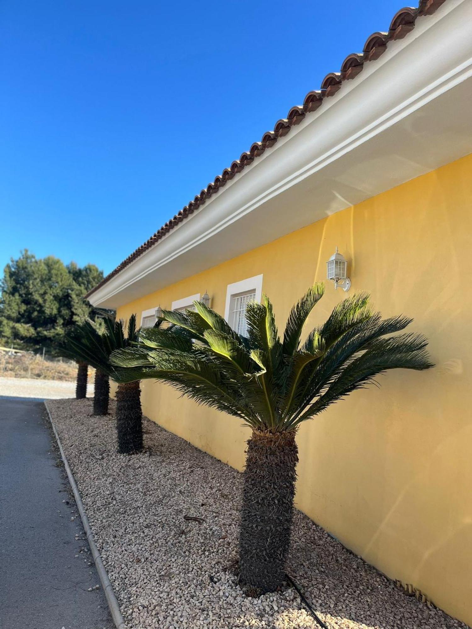 Chalet La Calma En Lorca ภายนอก รูปภาพ