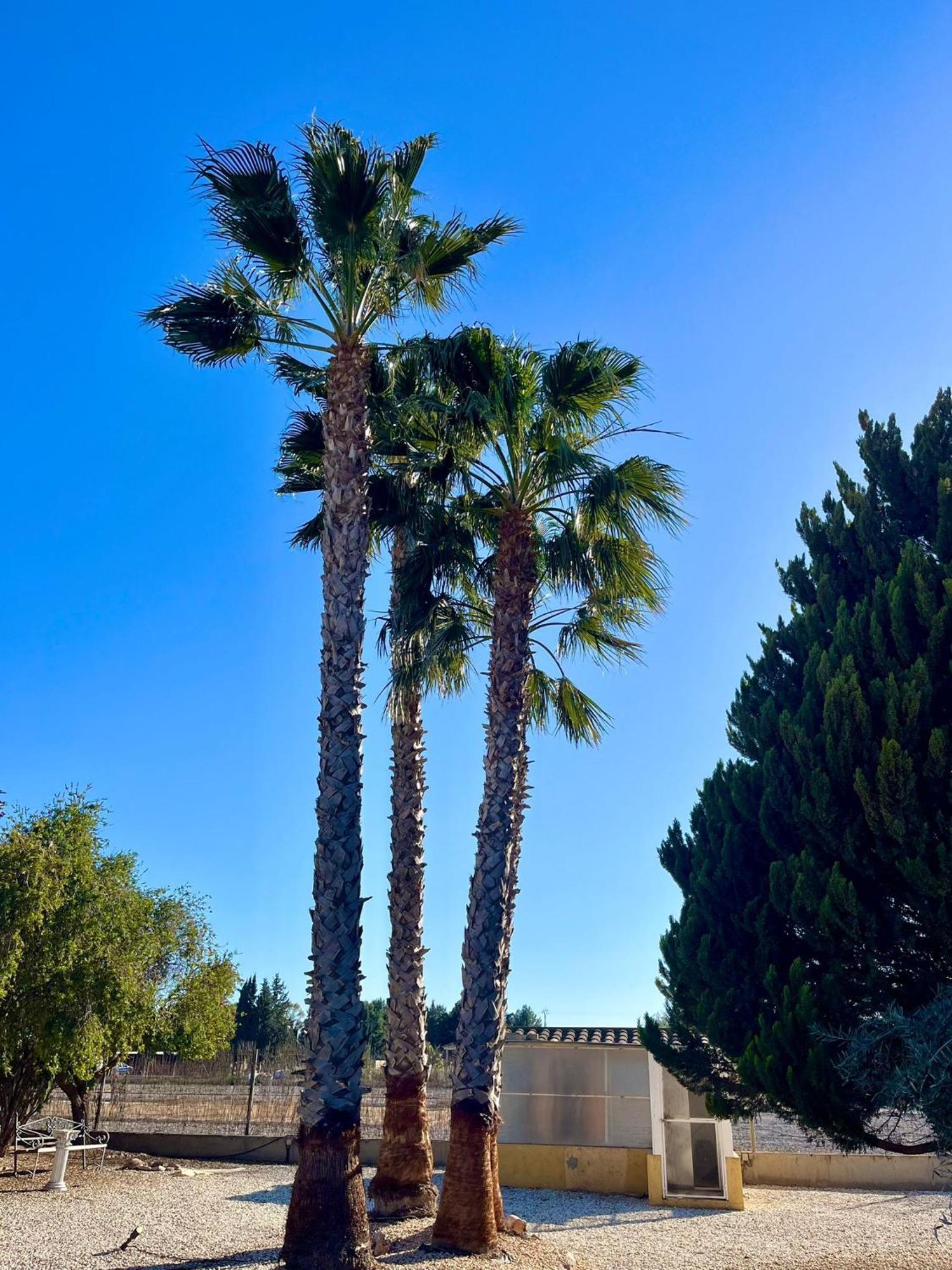 Chalet La Calma En Lorca ภายนอก รูปภาพ